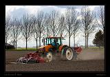 Keukenhof Hollandia 053